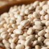 fresh organic white beans