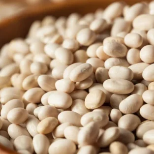 fresh organic white beans