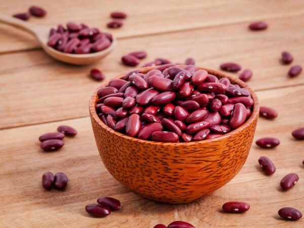 a bowl of freshly harvested red beans