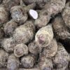 red cocoyam