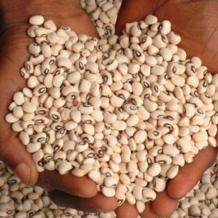 dried koki beans