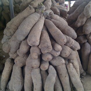 calabar yam in market