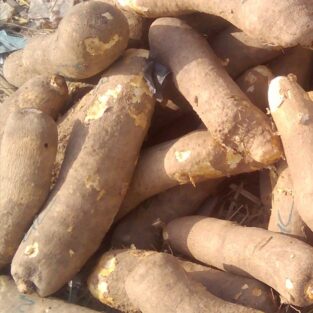 quality cameroon yam