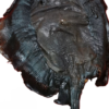 dried cover pot fish
