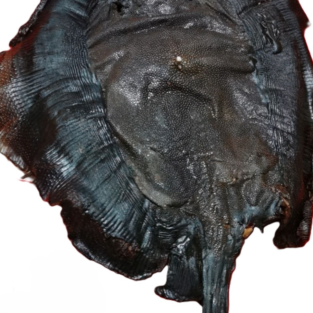 dried cover pot fish