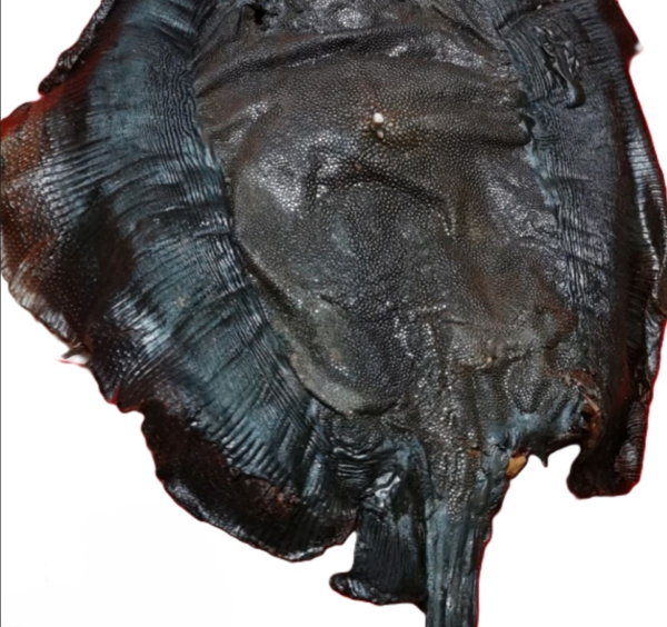 dried cover pot fish
