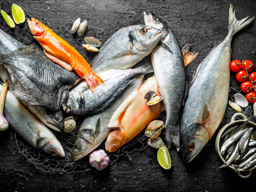 Fish