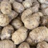 Igbo cocoyam