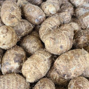 Igbo cocoyam