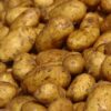 fresh Irish potatoes