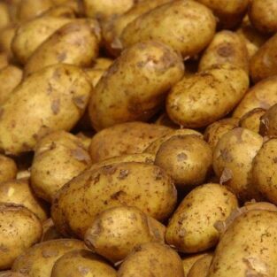 fresh Irish potatoes