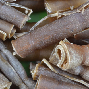 cow meat hide