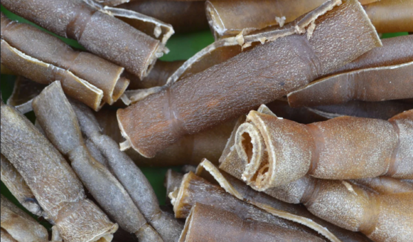 cow meat hide