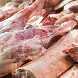 tender and fresh mutton meat