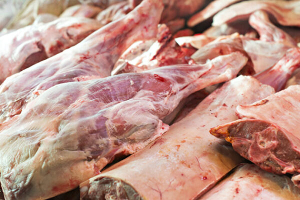 tender and fresh mutton meat