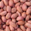 normal grain groundnut