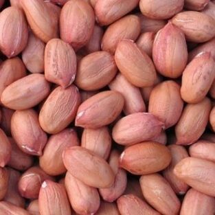normal grain groundnut