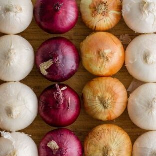 image of onions of different color types