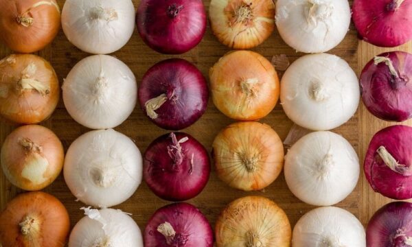 image of onions of different color types