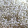 short grain white rice