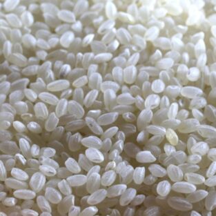 short grain white rice